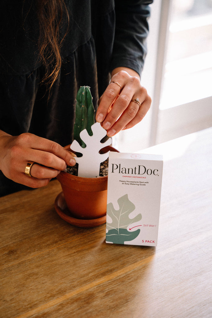 house plant moisture indicator PlantDoc: Color-Change Houseplant Water Moisture Meter