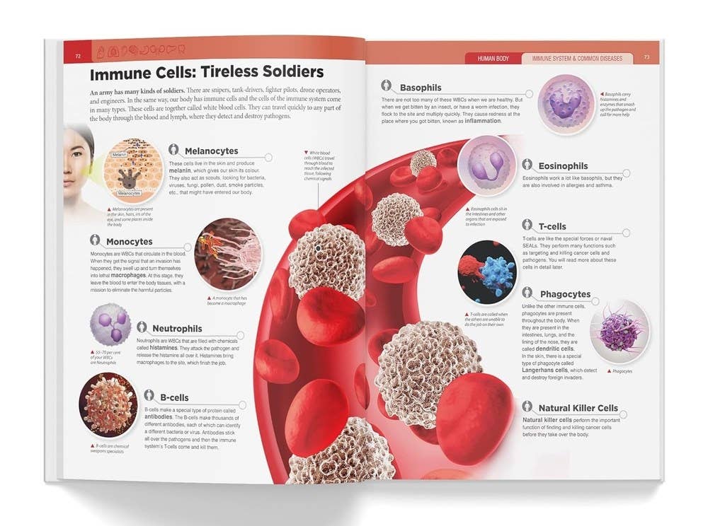Knowledge Encyclopedia: Human Body: 3.5 x 3.54 x 0.7 / Hardcover Picture Book / 192