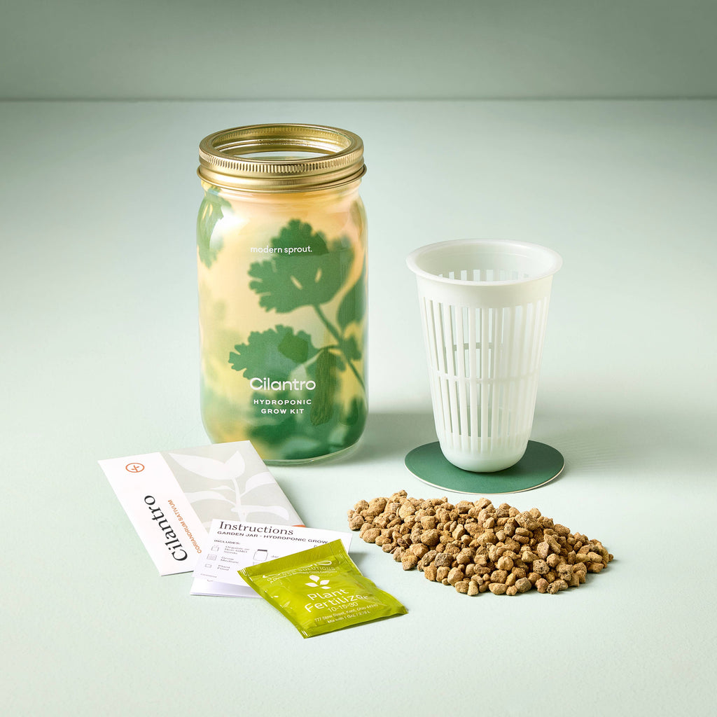 Herb Garden Jar: Mint