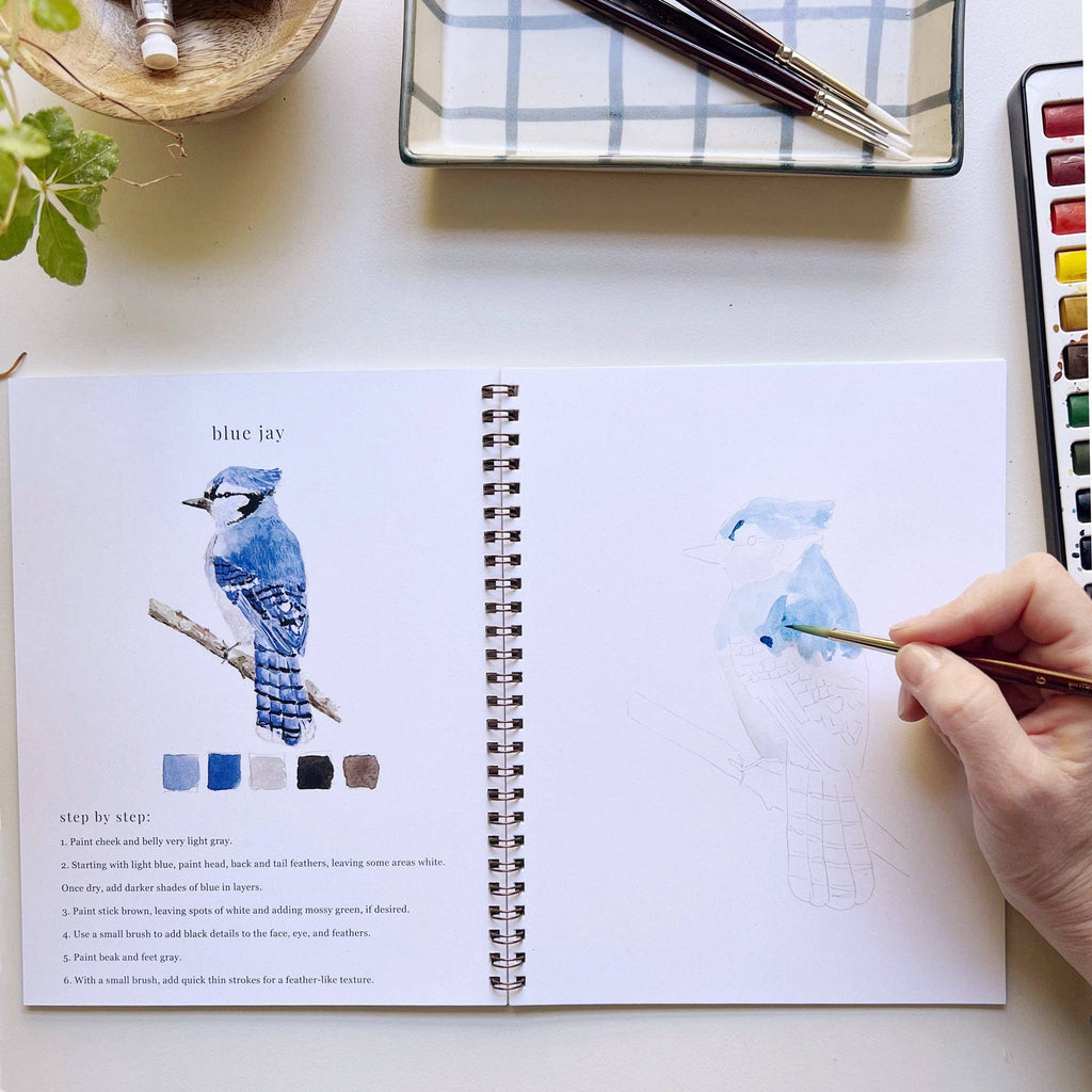 Watercolor Workbook Birds