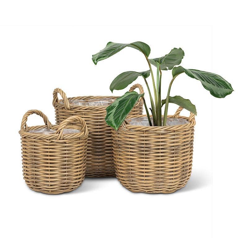 Set of 3 Tall Baskets with Handles-9.5 to 13.5"D