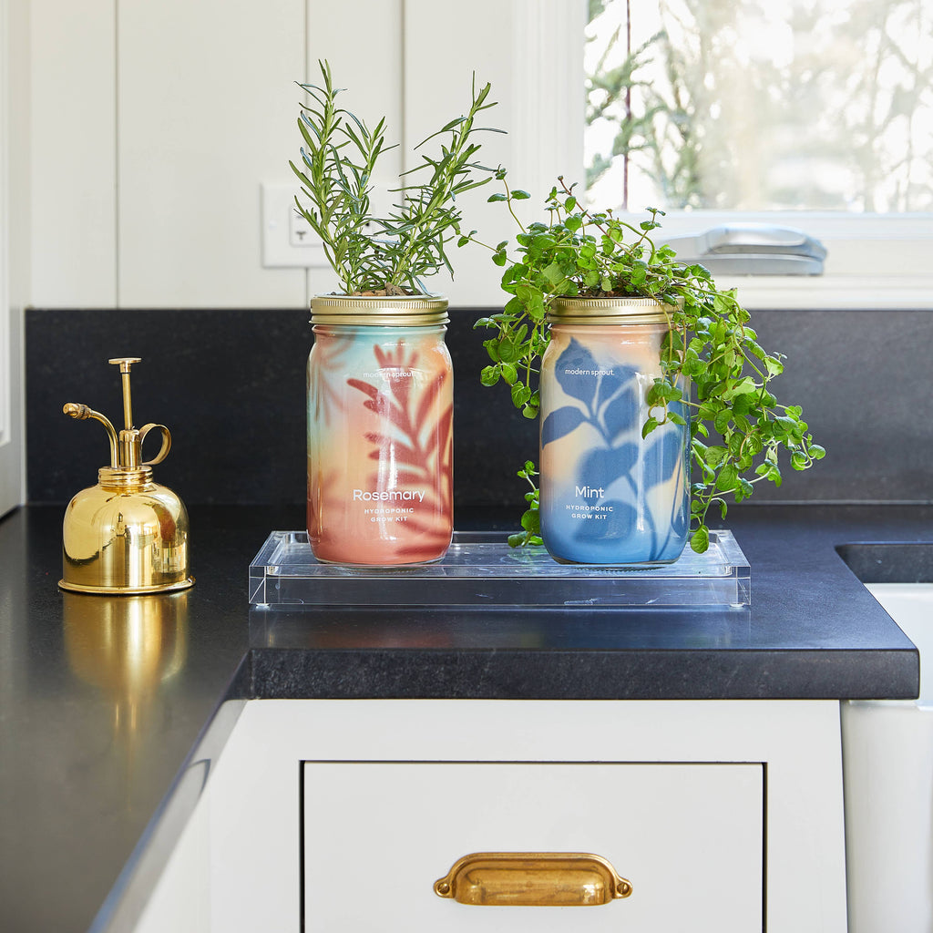 Herb Garden Jar: Rosemary