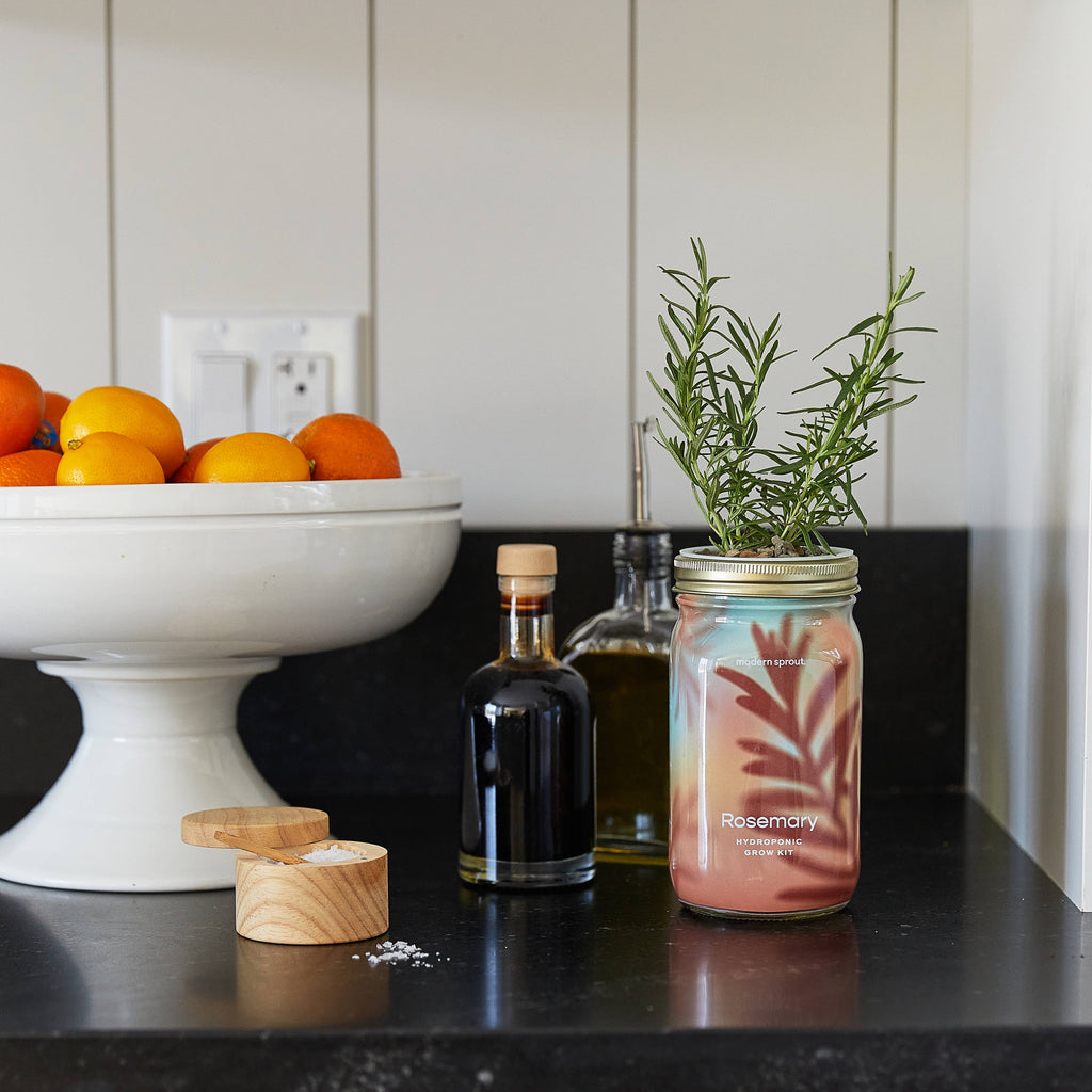 Herb Garden Jar: Mint