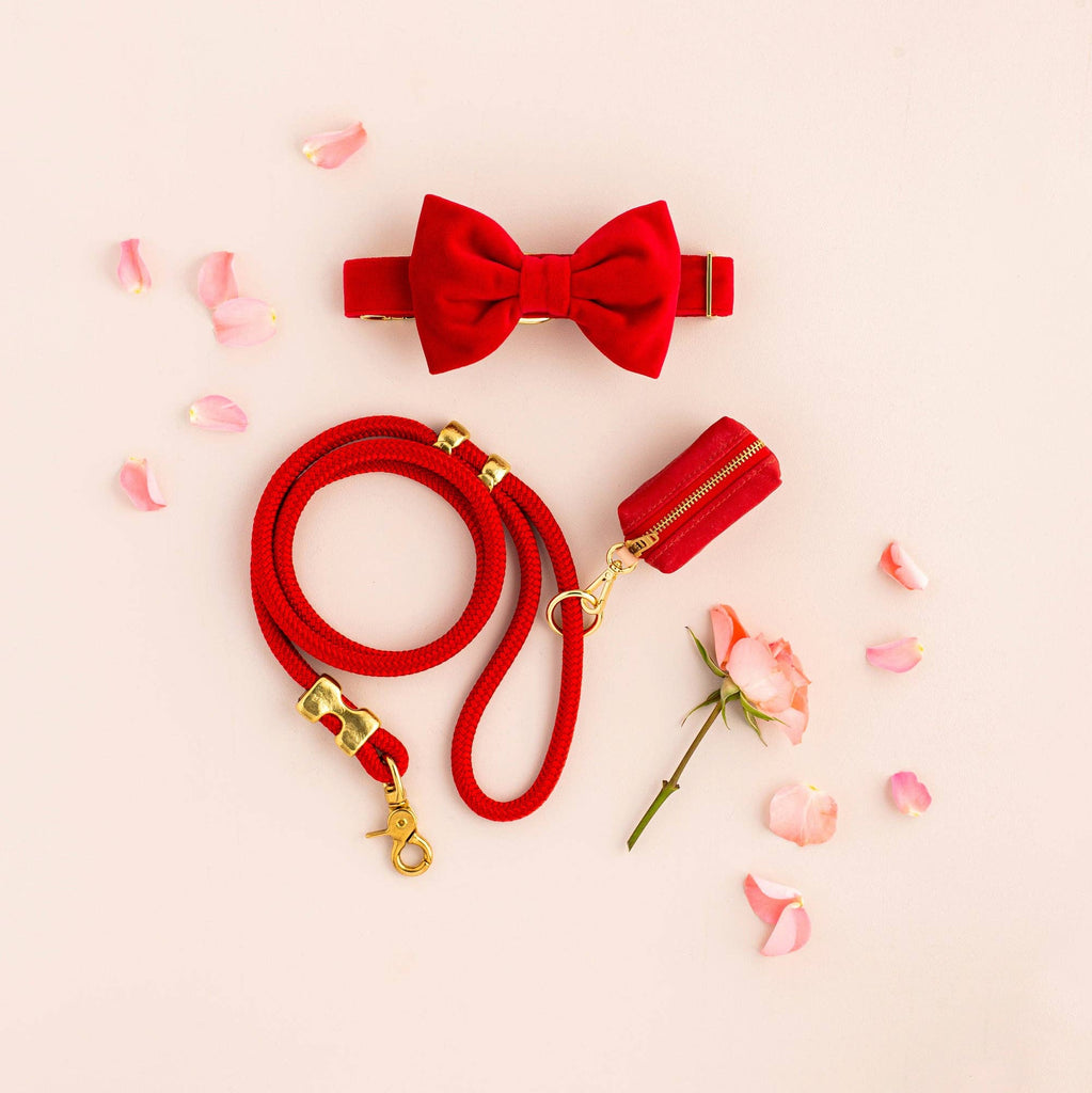 Ruby Valentine's Day Marine Rope Dog Leash: 5 Feet
