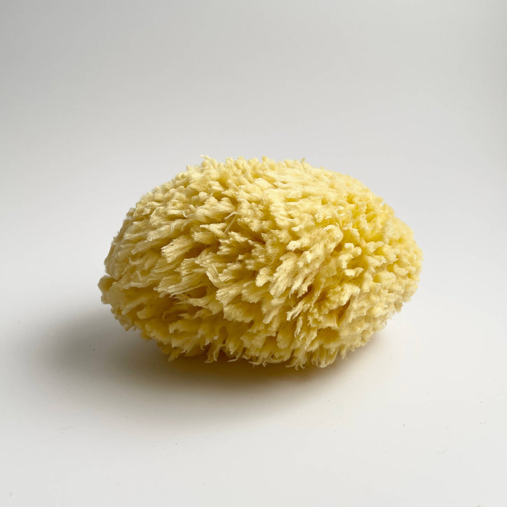 Large Natural Bath Sea Sponge 4.5” - 5” ( Wool )