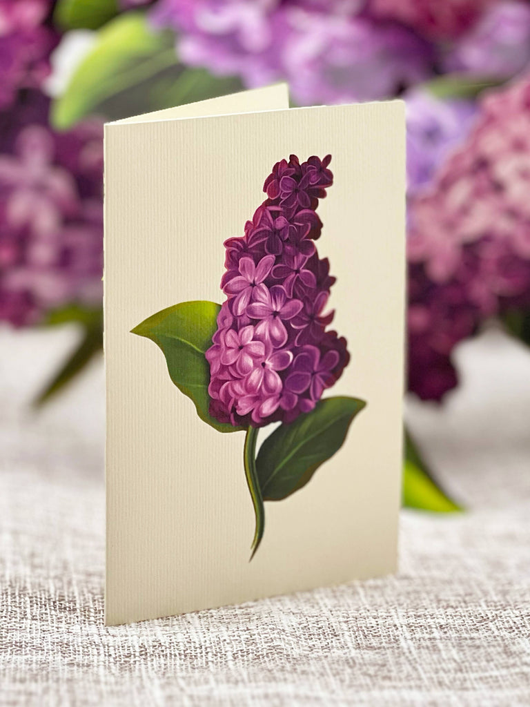 Garden Lilacs (Pop-up Greeting Cards)