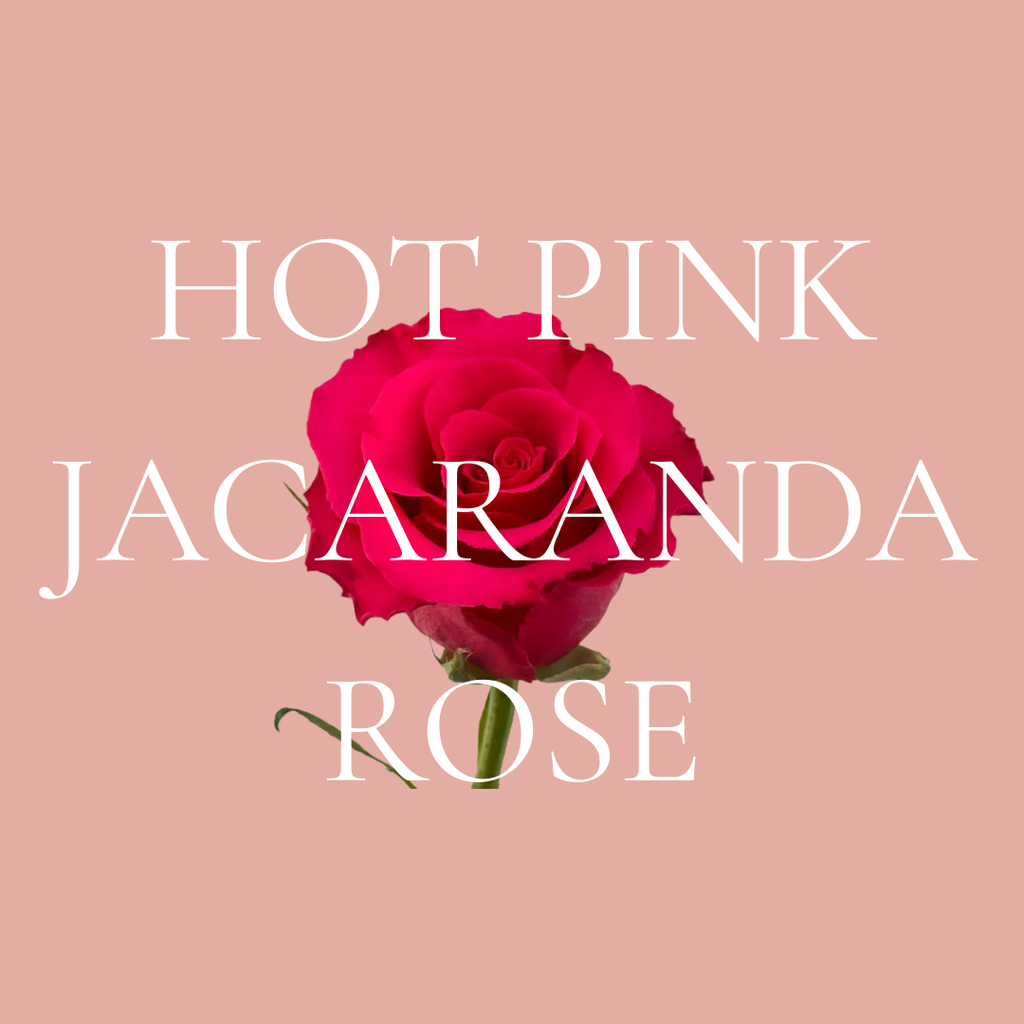 Grand Two Dozen Roses