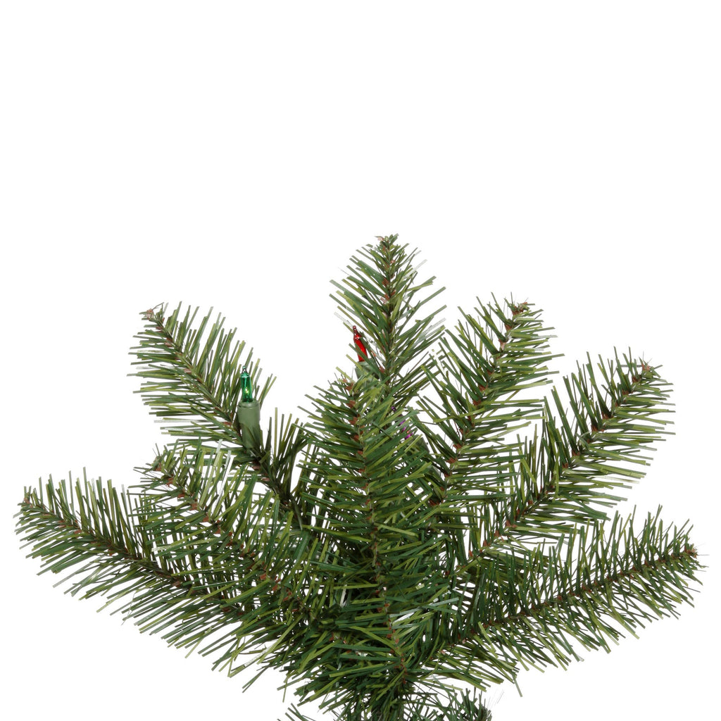 Vickerman 4.5' x 24" Salem Pencil Pine LED 200WW: Green / PVC / 4.5'