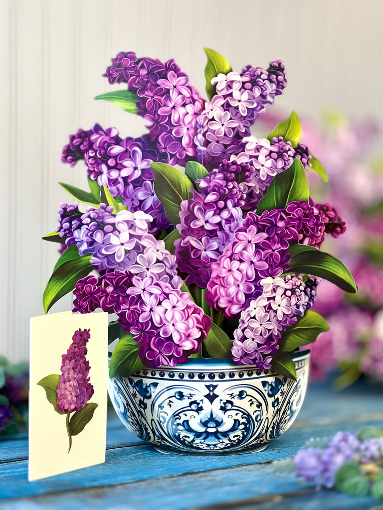 Garden Lilacs (Pop-up Greeting Cards)