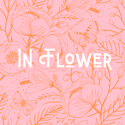 No Waste Flower Confetti