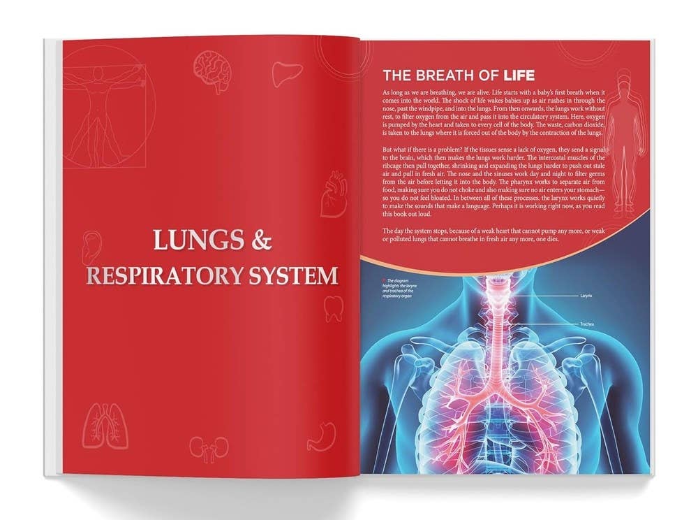 Knowledge Encyclopedia: Human Body: 3.5 x 3.54 x 0.7 / Hardcover Picture Book / 192