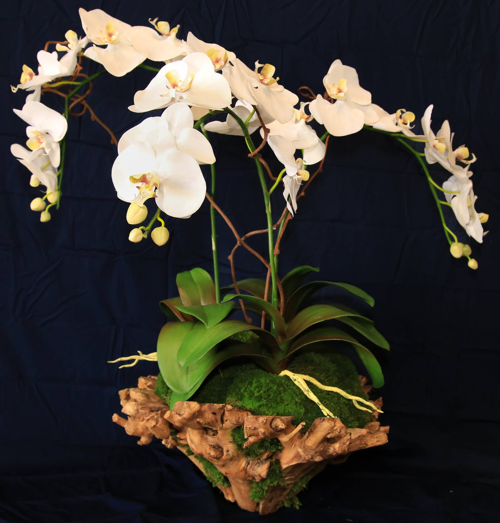 Large Orchid Branchy Bowl