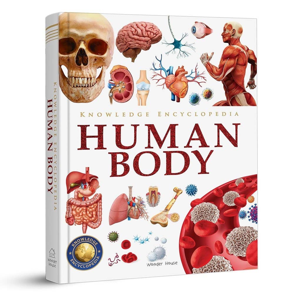 Knowledge Encyclopedia: Human Body: 3.5 x 3.54 x 0.7 / Hardcover Picture Book / 192