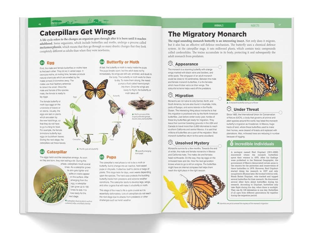 Knowledge Encyclopedia: Animals: 4.72 x 3.54 x 0.7 / Hardcover Picture Book / 192