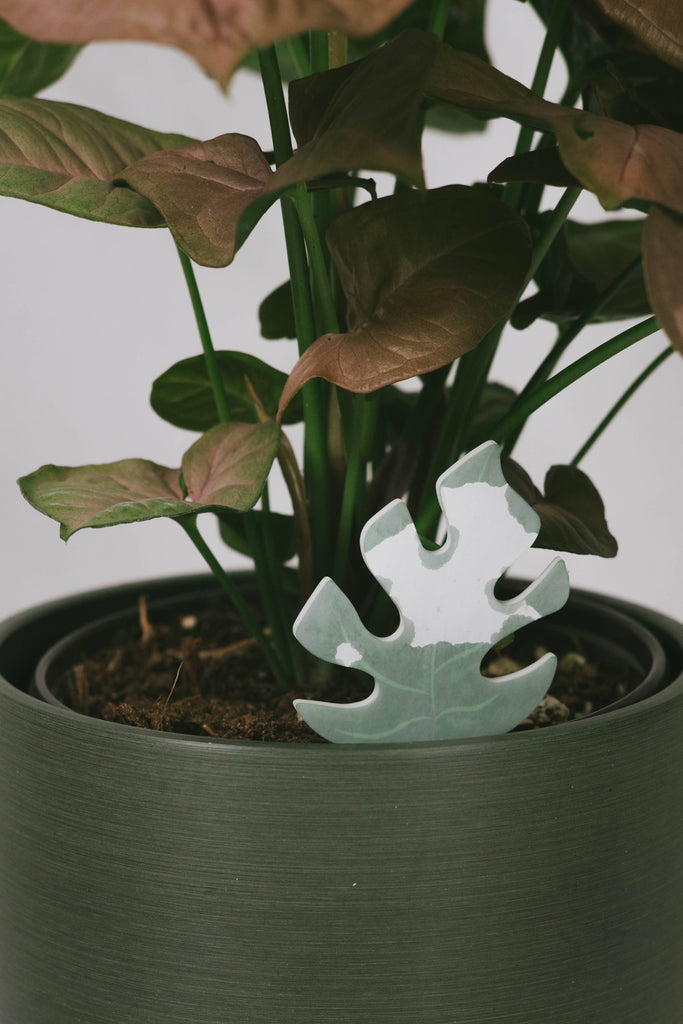 house plant water monitor PlantDoc: Color-Change Houseplant Water Moisture Meter