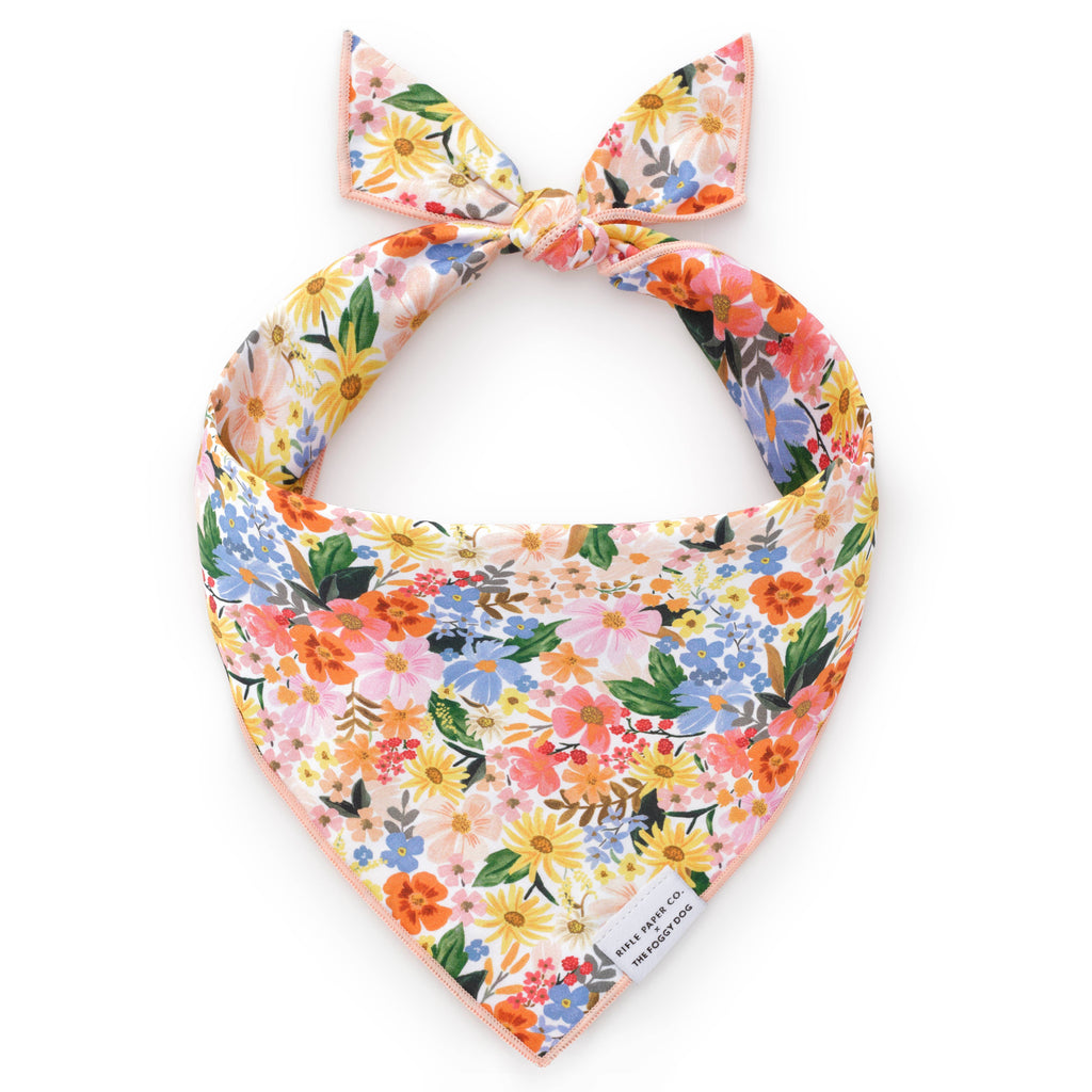 Rifle Paper Co. x TFD Marguerite Dog Bandana: Small