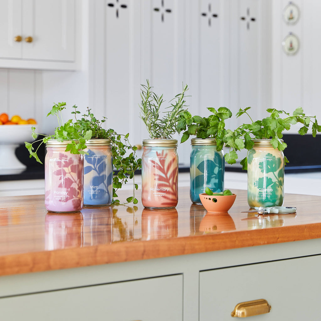Herb Garden Jar: Mint