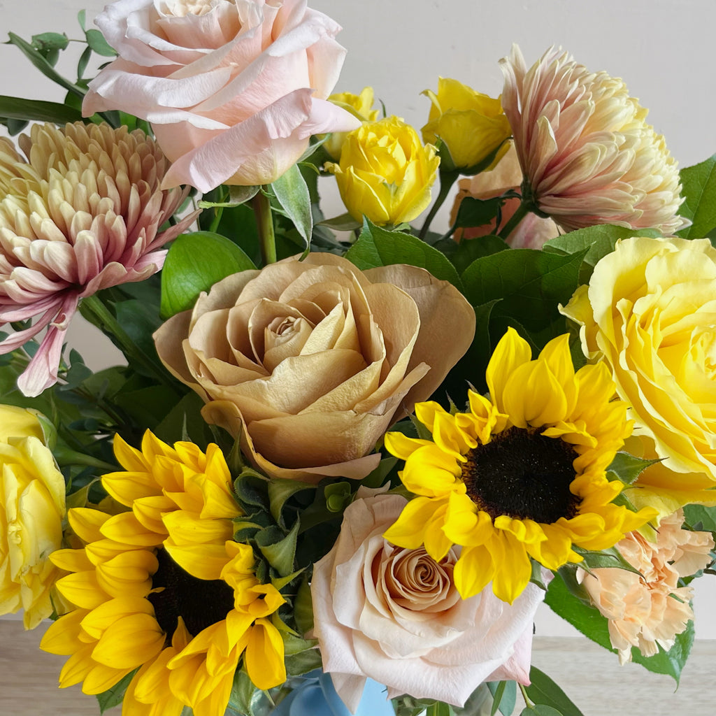 Sunny Still Life