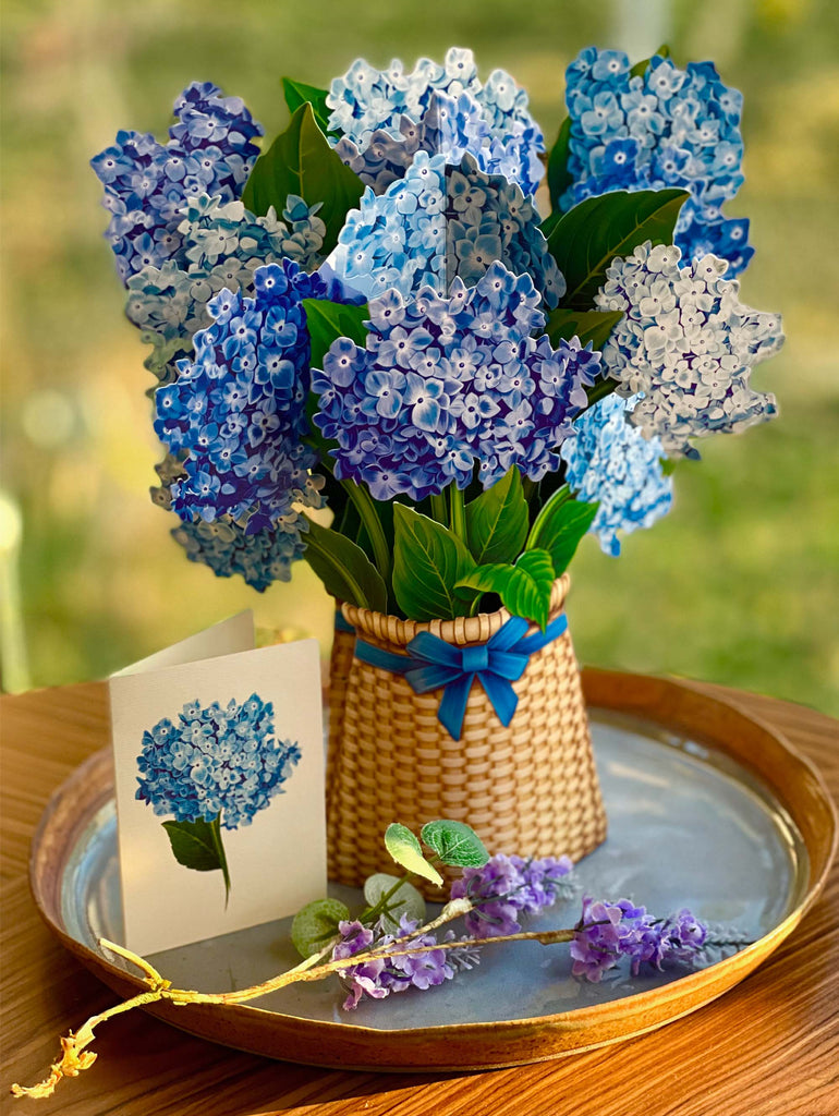 Nantucket Hydrangeas (Pop-up Greeting Cards)