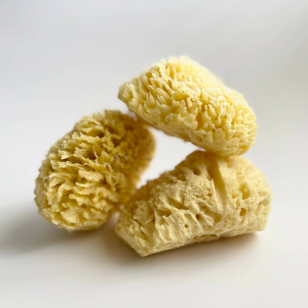 Large Natural Bath Sea Sponge 4.5” - 5” ( Wool )