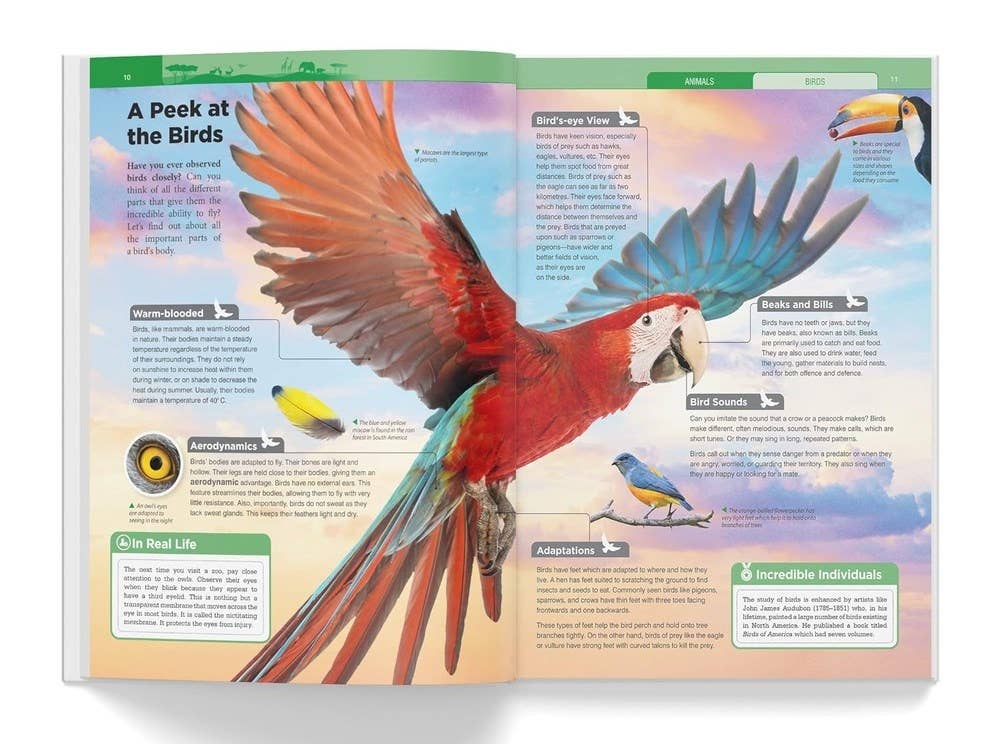 Knowledge Encyclopedia: Animals: 4.72 x 3.54 x 0.7 / Hardcover Picture Book / 192