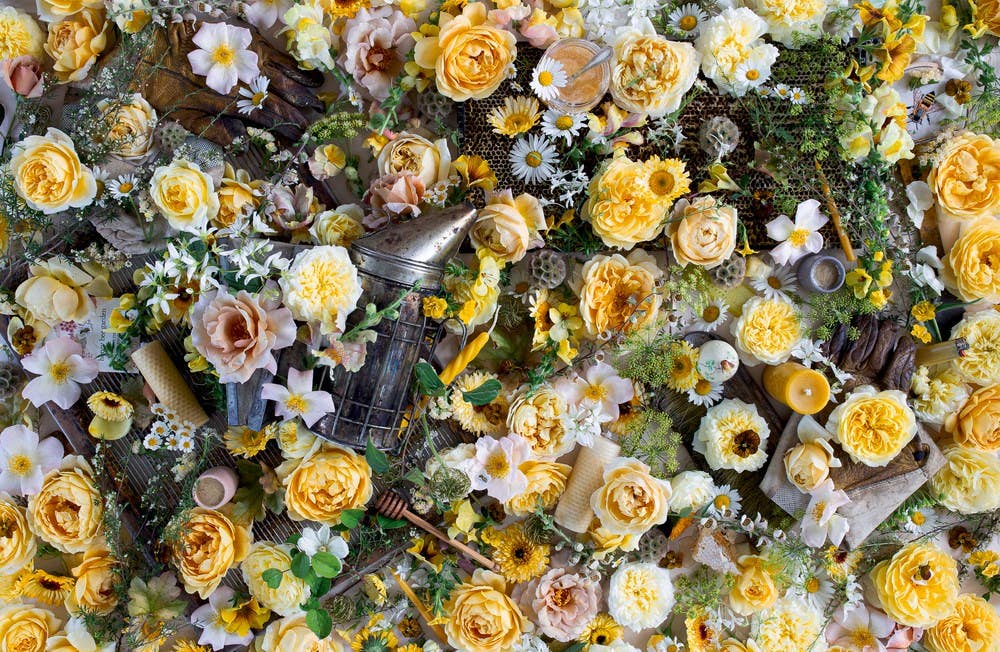 Lost & Found: 9 x 12 x 1.00 / Hardcover / 176