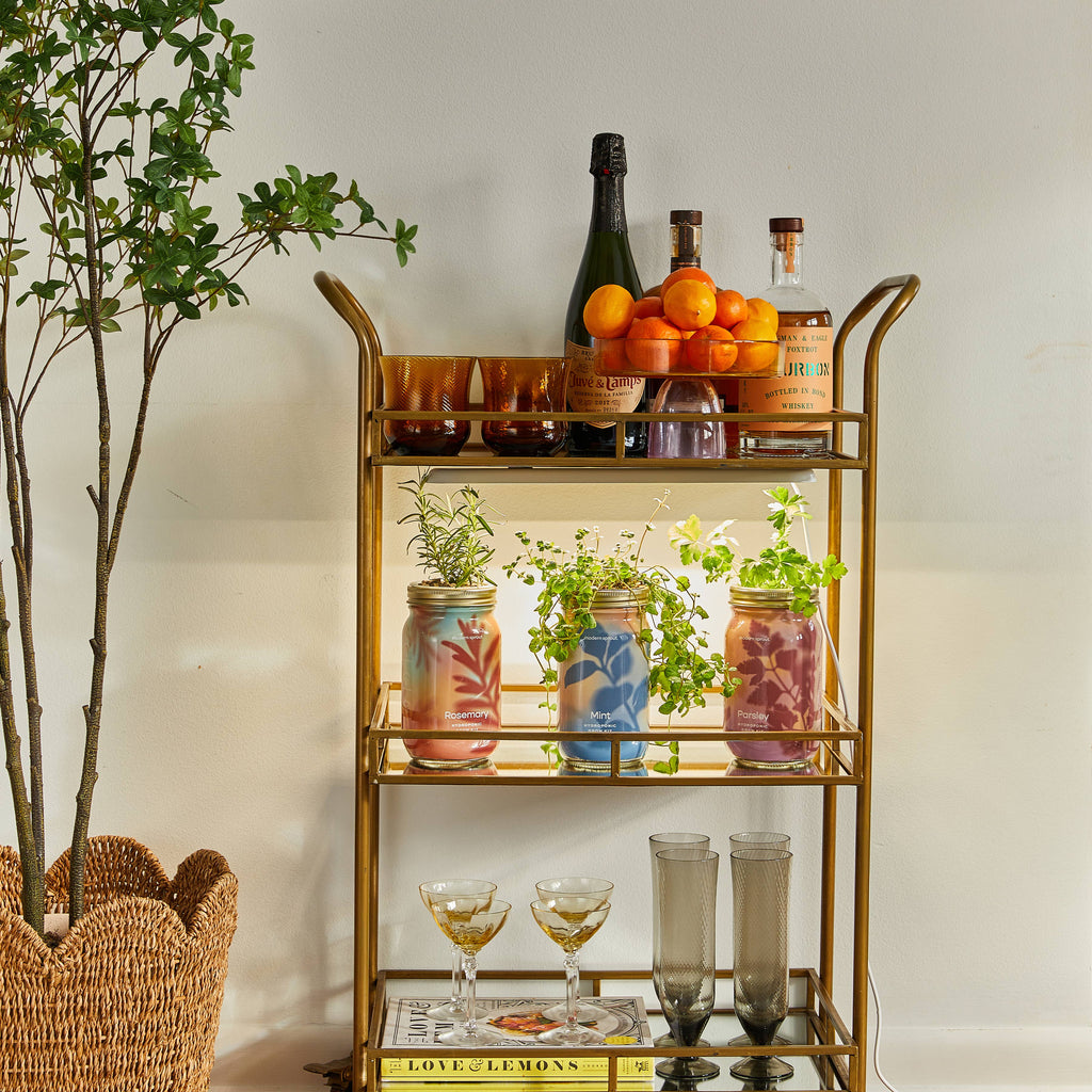 Herb Garden Jar: Mint