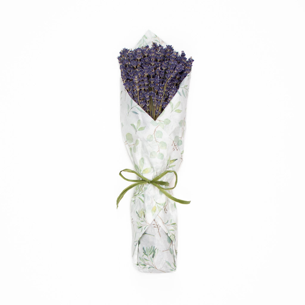 French Lavender Wrapped In Tissue - Eucalyptus