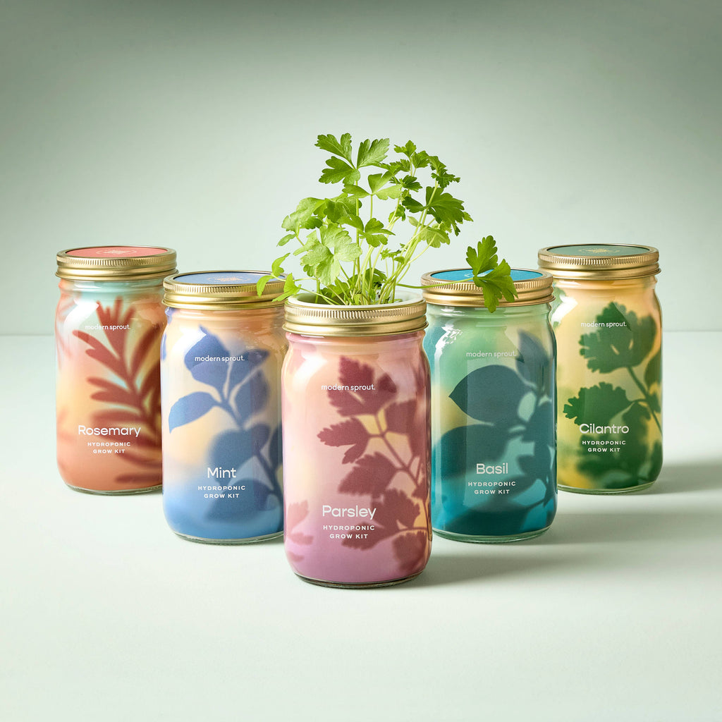 Herb Garden Jar: Mint
