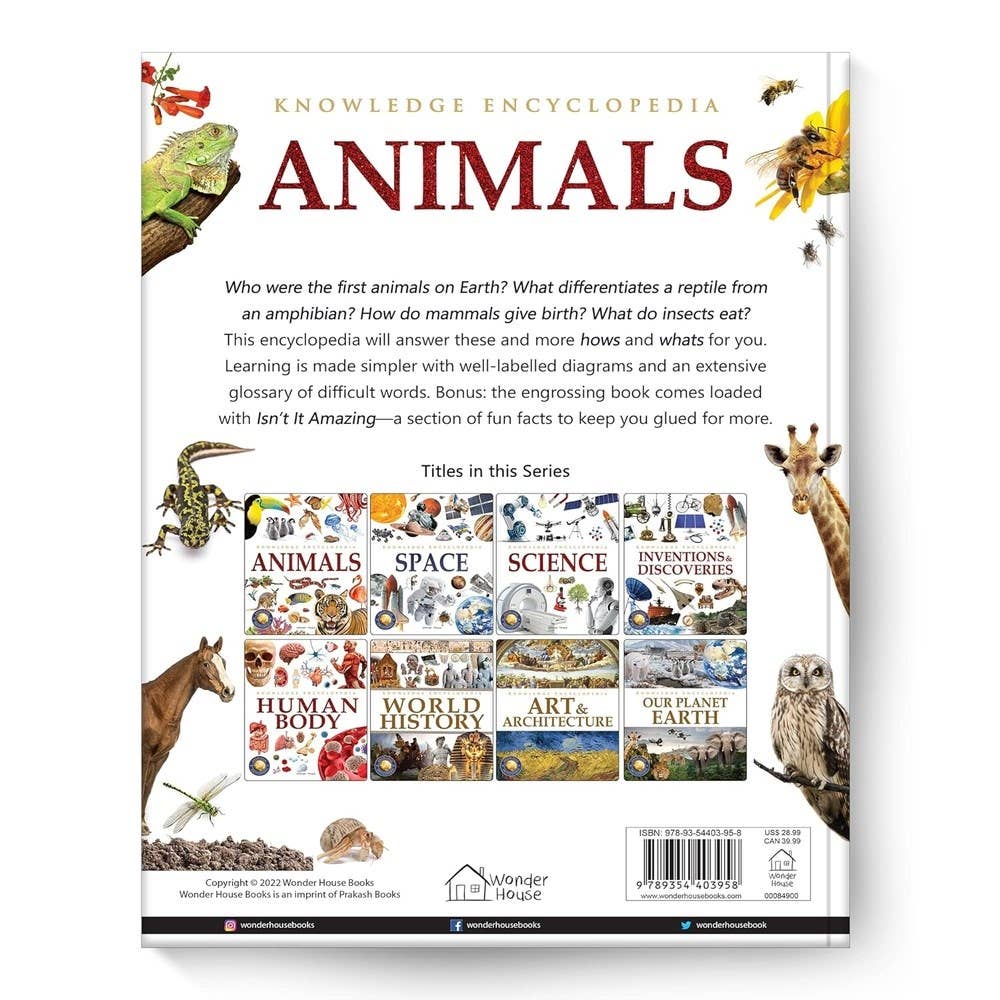 Knowledge Encyclopedia: Animals: 4.72 x 3.54 x 0.7 / Hardcover Picture Book / 192