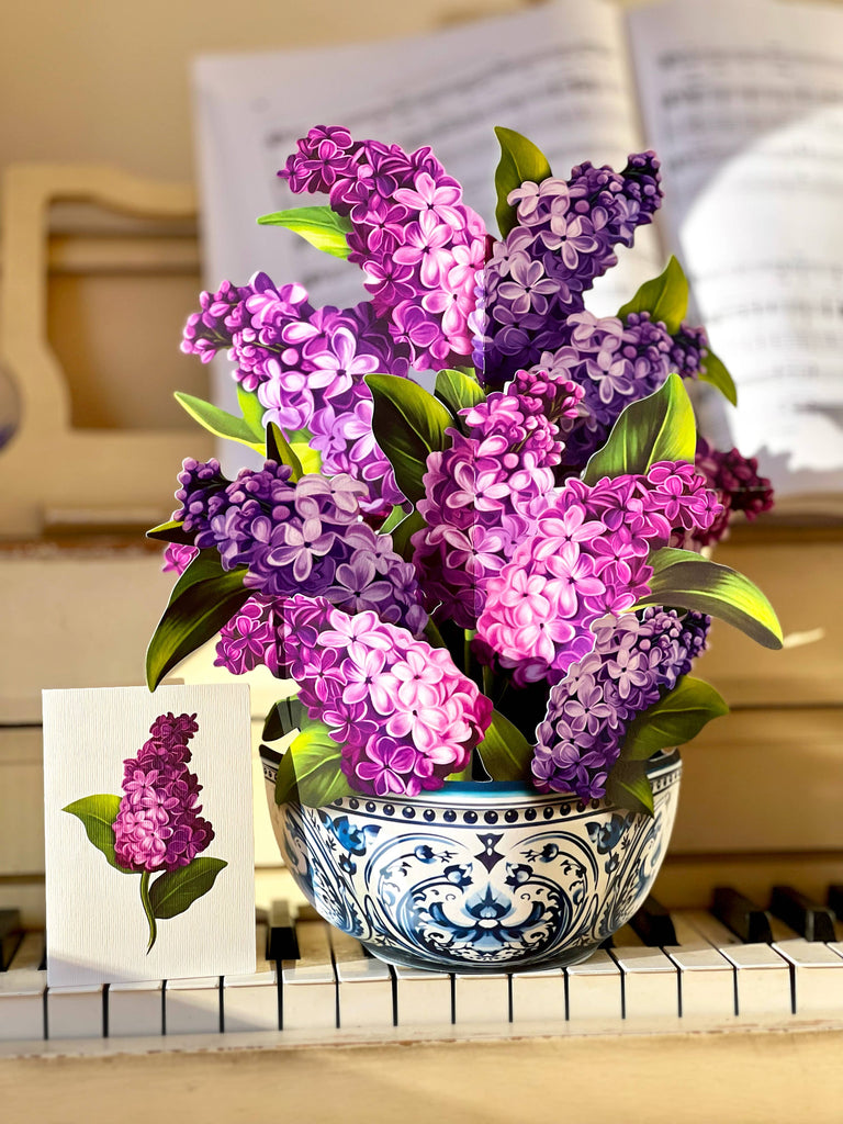 Garden Lilacs (Pop-up Greeting Cards)