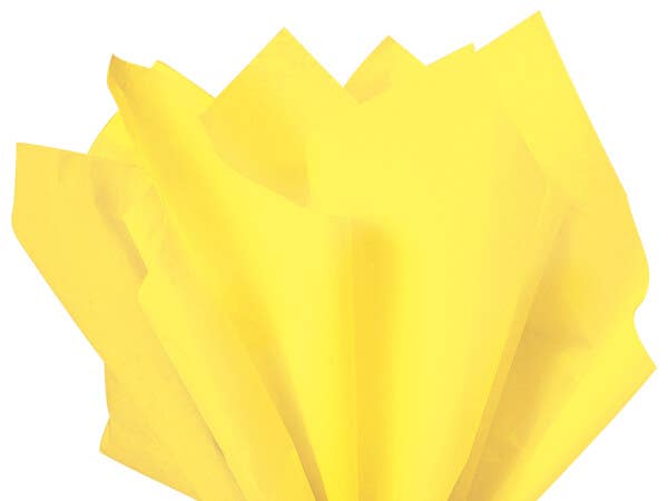 Color Tissue Paper 20X30" 24 Sheet Pack: Light Blue / 24 Pack / 20x30"