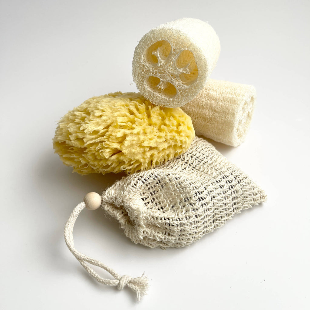 Large Natural Bath Sea Sponge 4.5” - 5” ( Wool )