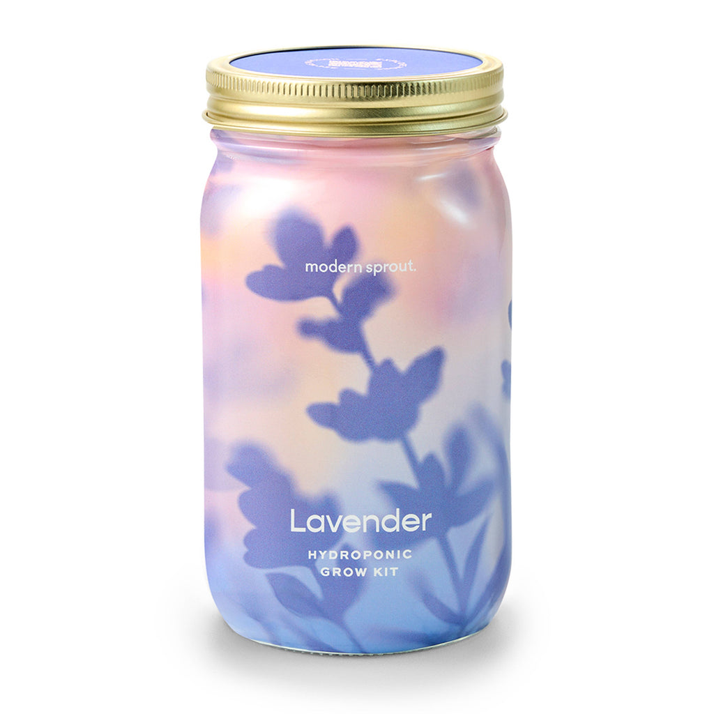 Herb Garden Jar: Mint