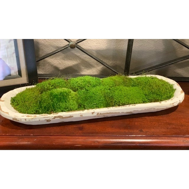 Moss Bread Bowl