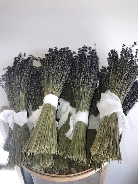 Lavender Bundles