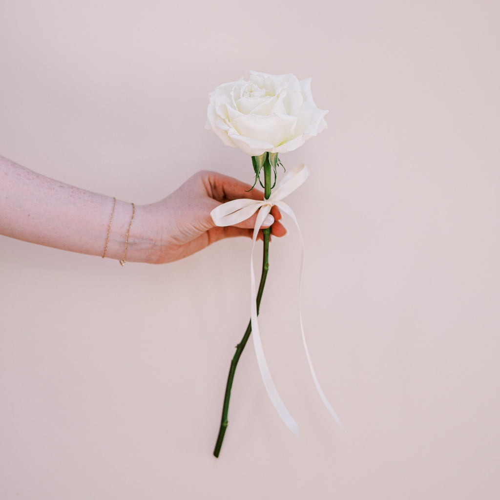 Classic White - Single Rose