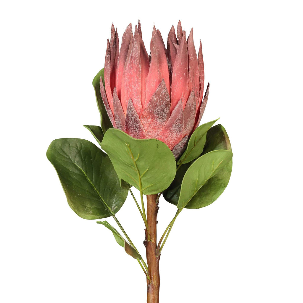 Faux Protea Floral Stem