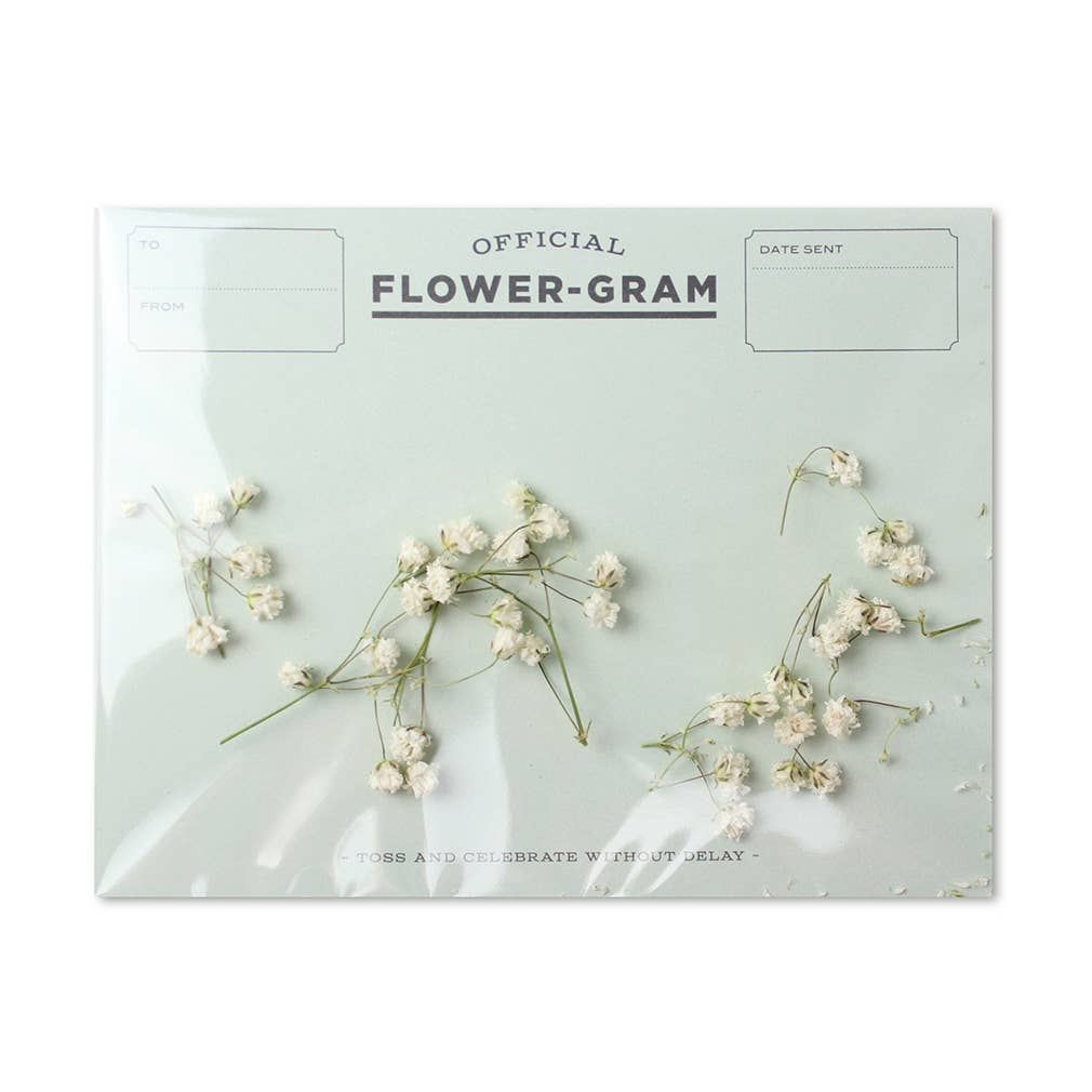Flowergram - Baby's Breath