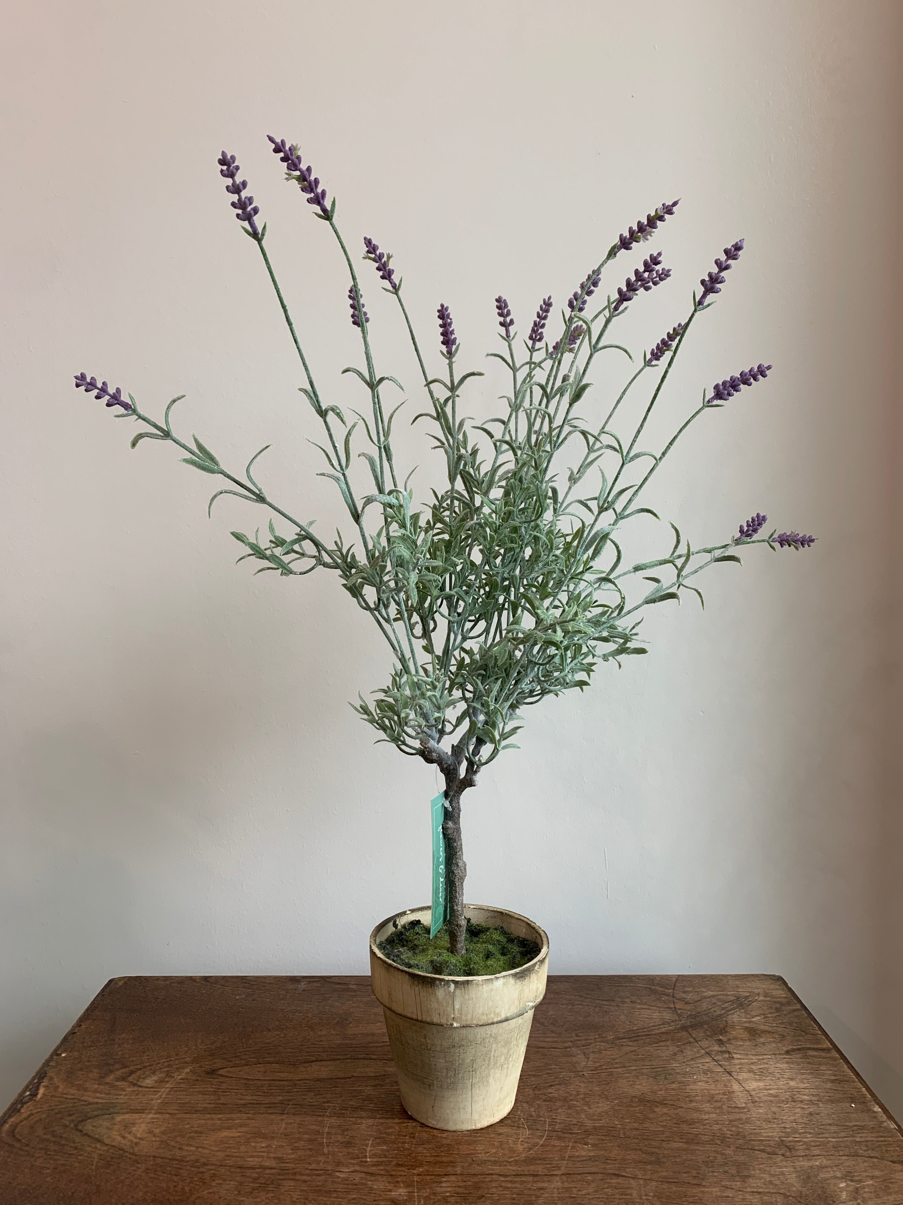 lavender plant artificial image_c8cb9e3d-9b53-400e-b553-d2c2e0786be3_3024x.jpg?v=1586051254